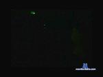 creamflojo cam4 livecam show performer room profile