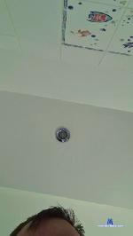 integrar_11 cam4 livecam show performer room profile