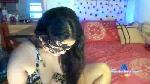 __MissWick__ cam4 livecam show performer room profile