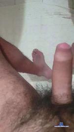 porcone1211 cam4 livecam show performer room profile