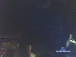 eggeo cam4 livecam show performer room profile