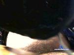 andre19661 cam4 livecam show performer room profile