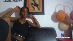 levifun cam4 live cam performer profile