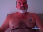 dazzabear cam4 livecam show performer room profile