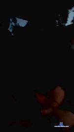 sassystephyy cam4 livecam show performer room profile