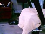 jackie_xkitten cam4 livecam show performer room profile