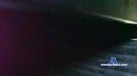 melonybuckler cam4 livecam show performer room profile