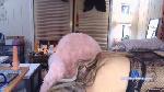 ChelieRose cam4 livecam show performer room profile