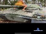 swedishassfun cam4 livecam show performer room profile