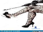 MissPowerful69 cam4 livecam show performer room profile