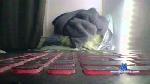 jbixx33 cam4 livecam show performer room profile