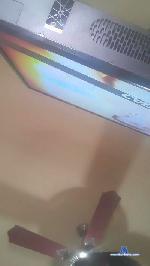 ElbiEllaBi cam4 livecam show performer room profile