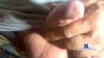 tara80 cam4 livecam show performer room profile
