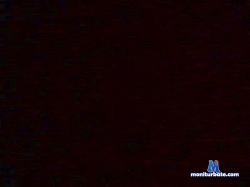 veeem cam4 live cam performer profile