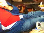 devot4u2 cam4 livecam show performer room profile