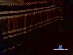 Mauro041 cam4 livecam show performer room profile