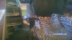 poema55 cam4 livecam show performer room profile