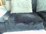bosmin428 cam4 livecam show performer room profile
