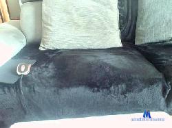 bosmin428 cam4 live cam performer profile