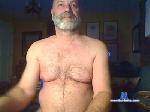 ctminibear1 cam4 livecam show performer room profile