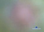jalulu cam4 livecam show performer room profile