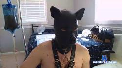 RexSharp cam4 live cam performer profile