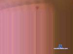 younggboy94 cam4 livecam show performer room profile
