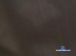 LYXi cam4 livecam show performer room profile
