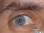 diesexarg cam4 livecam show performer room profile