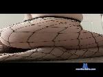 latinobambino cam4 livecam show performer room profile