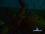 perninha21 cam4 livecam show performer room profile