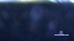bigwil13 cam4 livecam show performer room profile