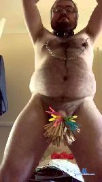 rugbycubdave cam4 livecam show performer room profile