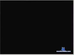 camigut cam4 live cam performer profile