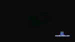 colombia1992 cam4 livecam show performer room profile