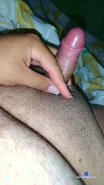 gordinho46 cam4 livecam show performer room profile