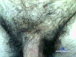 cirilo8383 cam4 livecam show performer room profile