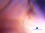 bellagaby1 cam4 livecam show performer room profile