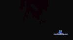 SamoVlada cam4 livecam show performer room profile