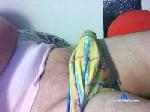 phot1 cam4 livecam show performer room profile