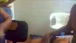 brunacamposbr cam4 livecam show performer room profile