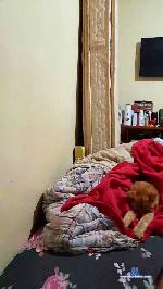 adils5 cam4 livecam show performer room profile