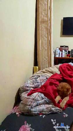 adils5 cam4 live cam performer profile