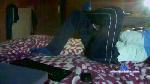 antonio65x cam4 livecam show performer room profile