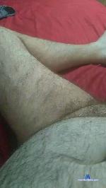 Pedro1983sc cam4 livecam show performer room profile