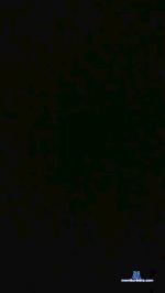 Timidea2 cam4 livecam show performer room profile