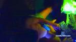 Waltermay cam4 livecam show performer room profile