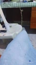 ysla_hot cam4 livecam show performer room profile