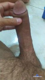 caradalapa1 cam4 livecam show performer room profile