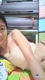 Shine25 cam4 livecam show performer room profile